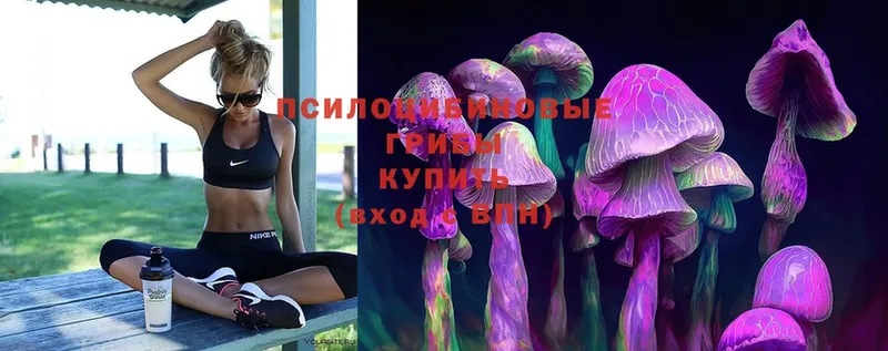 Галлюциногенные грибы Psilocybe  Новосиль 